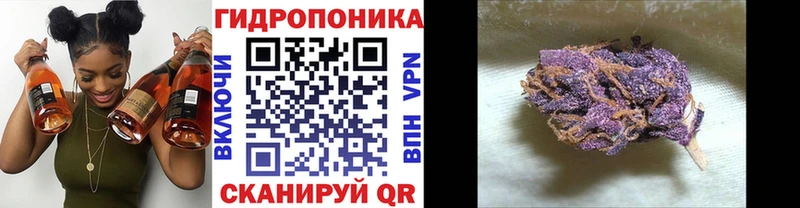 Каннабис AK-47  Купить  Апшеронск 